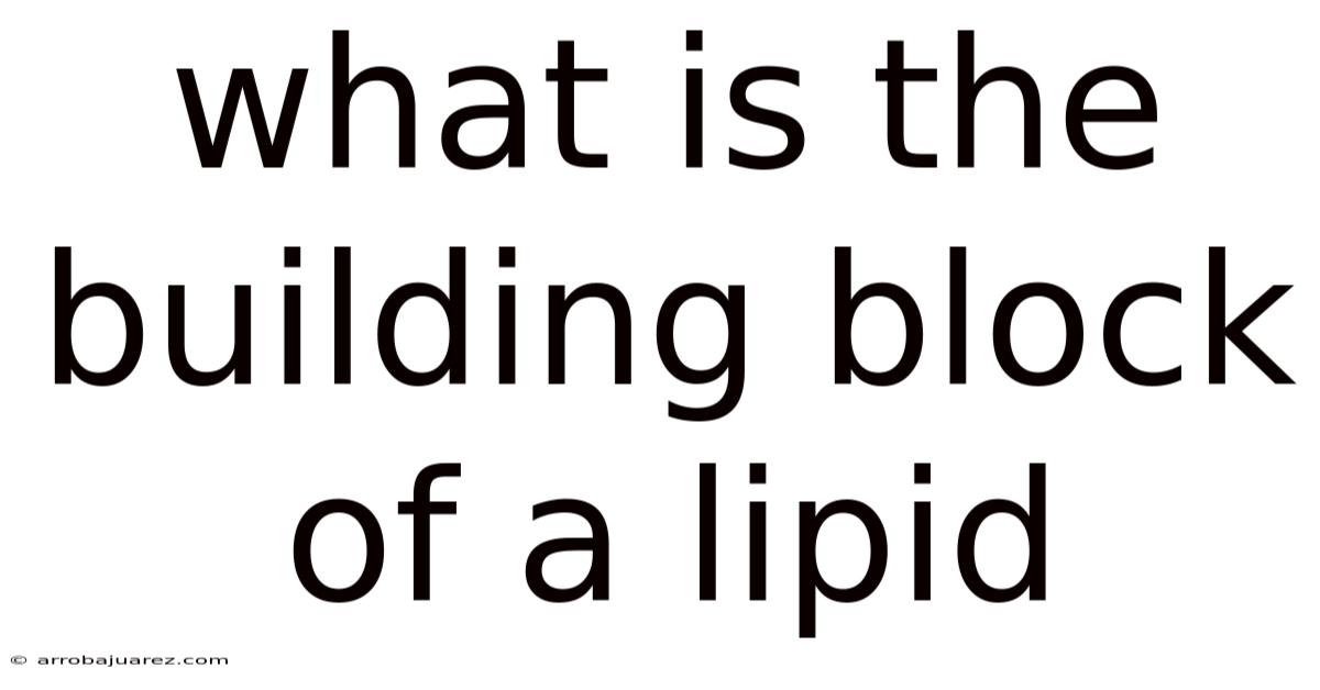 What Is The Building Block Of A Lipid