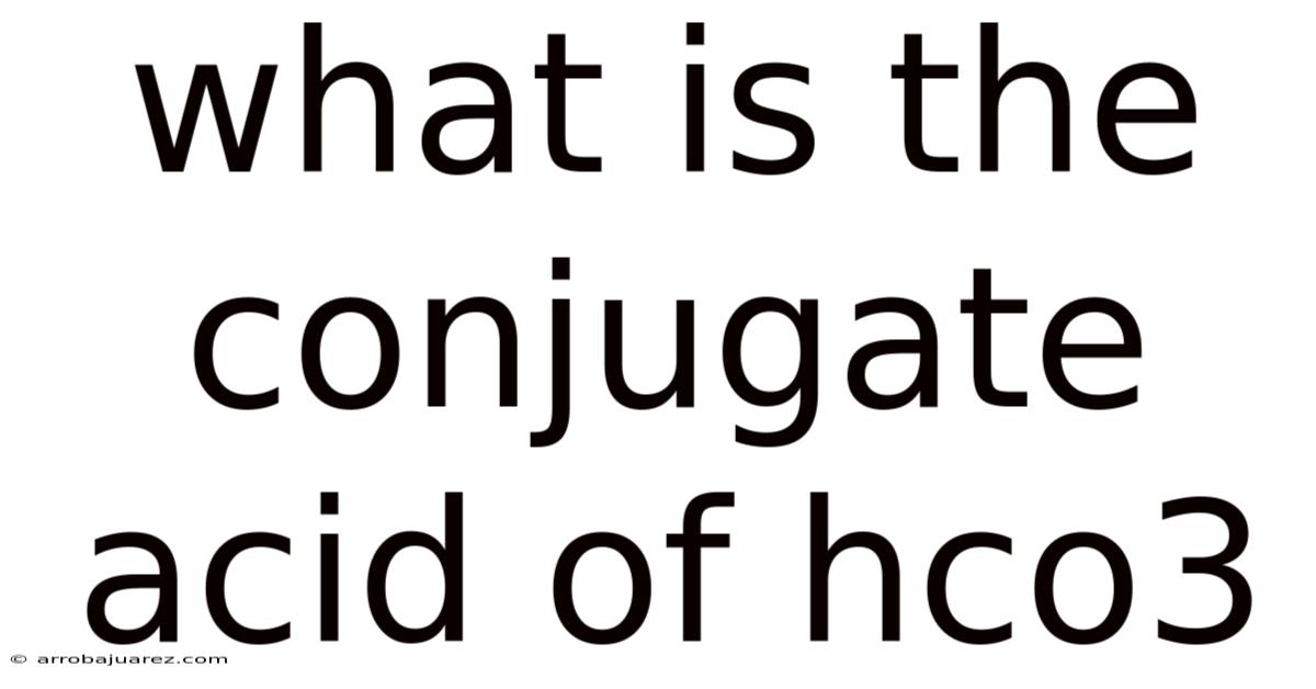 What Is The Conjugate Acid Of Hco3