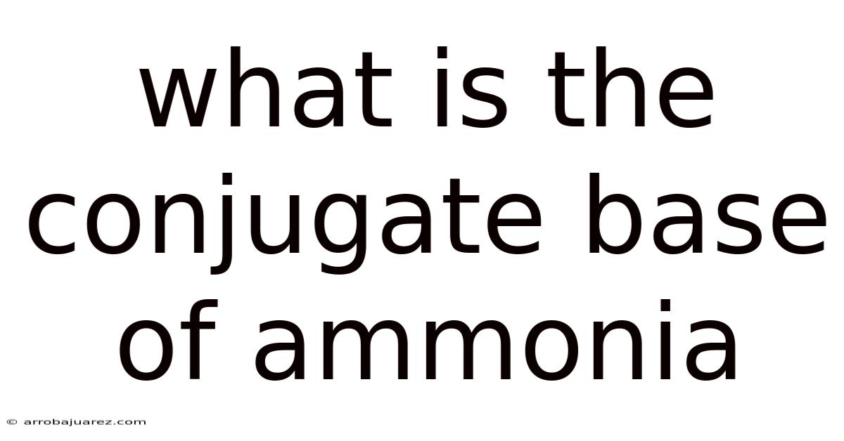 What Is The Conjugate Base Of Ammonia