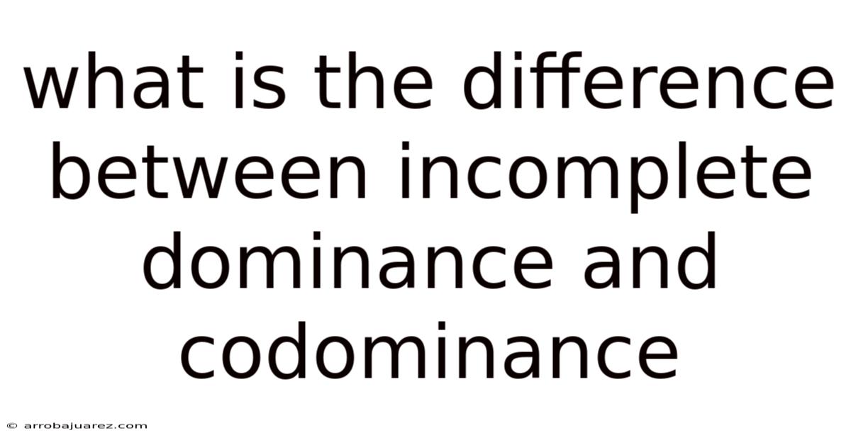 What Is The Difference Between Incomplete Dominance And Codominance