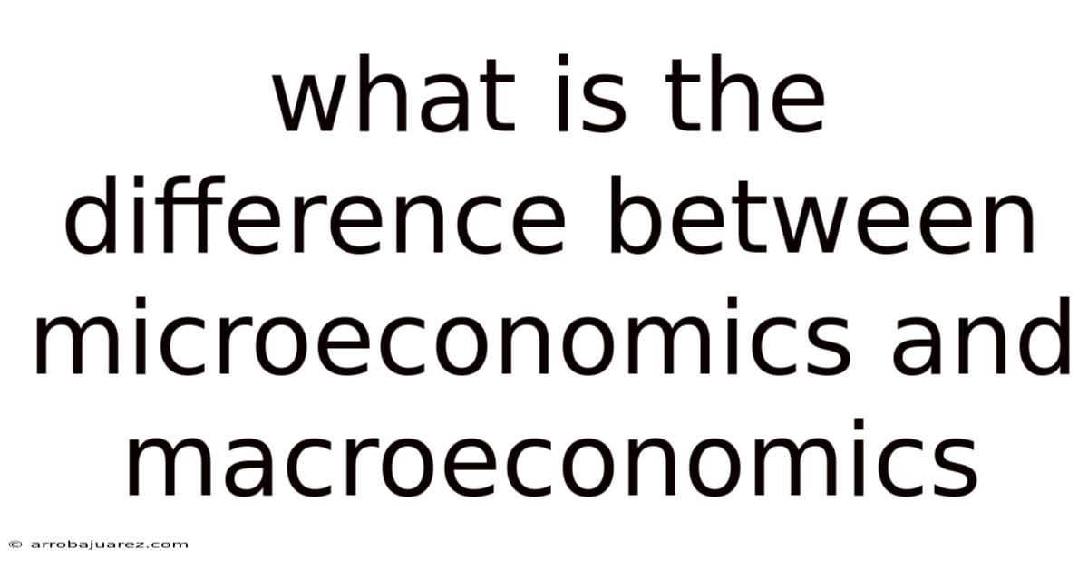 What Is The Difference Between Microeconomics And Macroeconomics