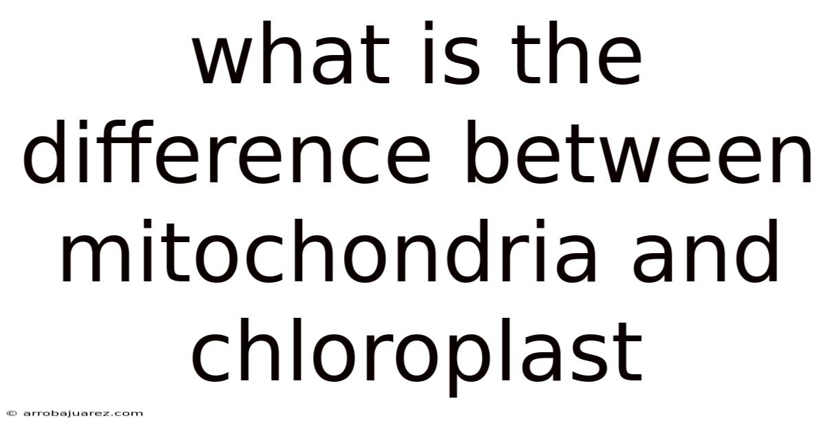 What Is The Difference Between Mitochondria And Chloroplast