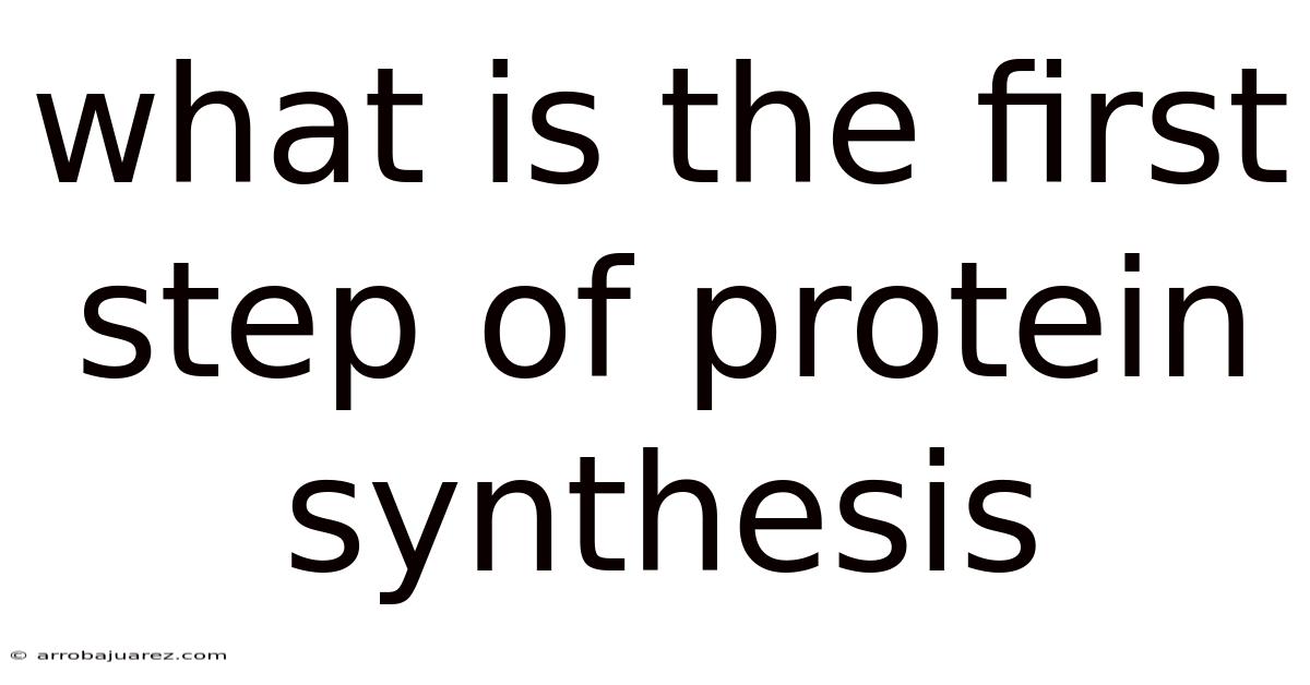 What Is The First Step Of Protein Synthesis