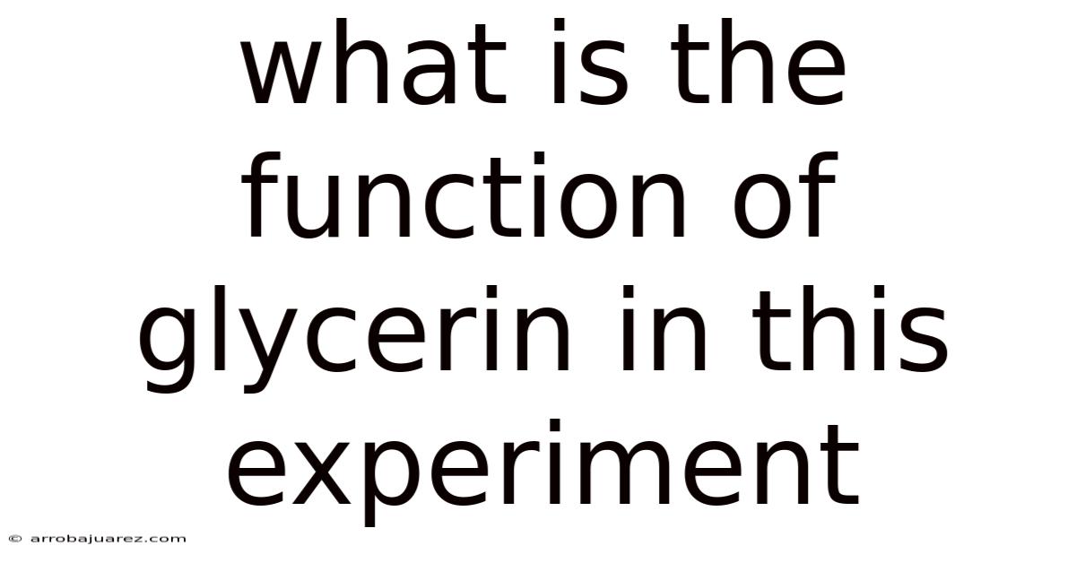 What Is The Function Of Glycerin In This Experiment
