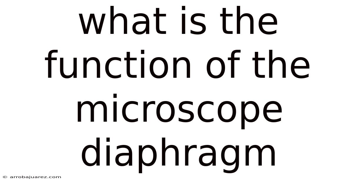 What Is The Function Of The Microscope Diaphragm