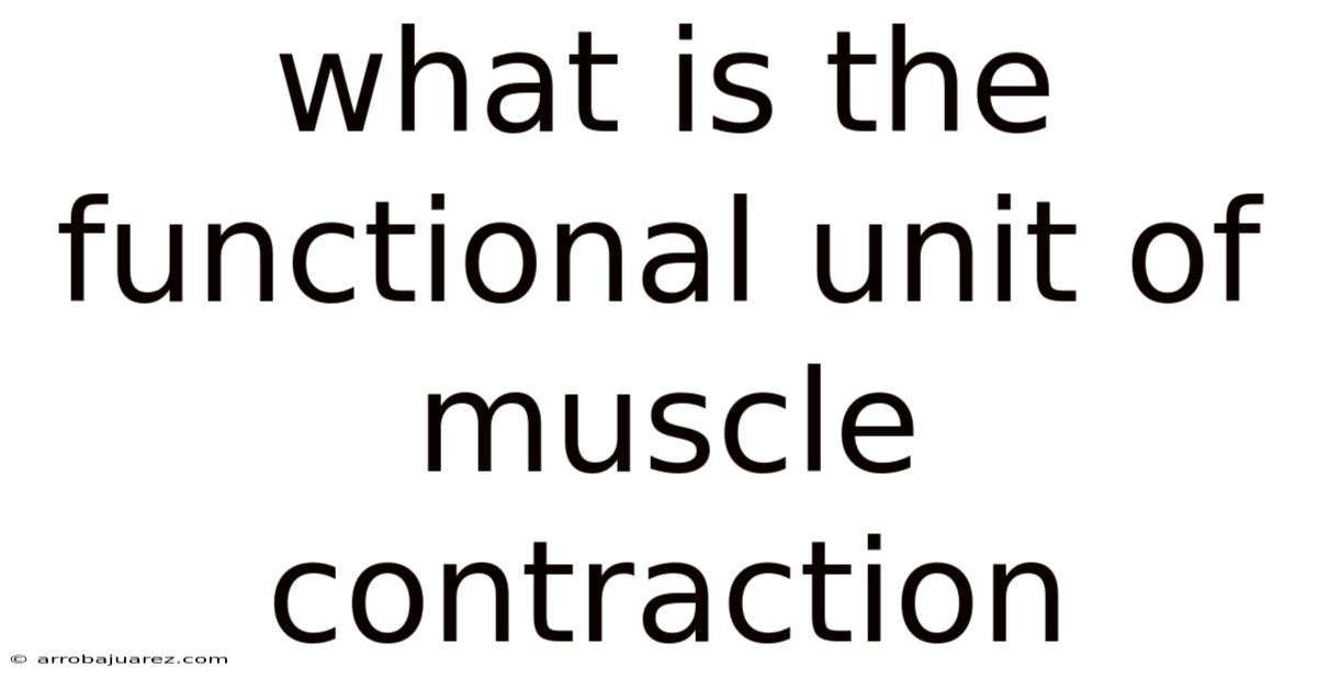 What Is The Functional Unit Of Muscle Contraction