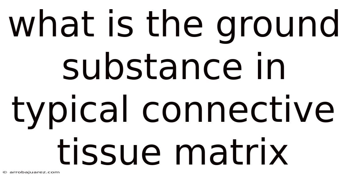 What Is The Ground Substance In Typical Connective Tissue Matrix