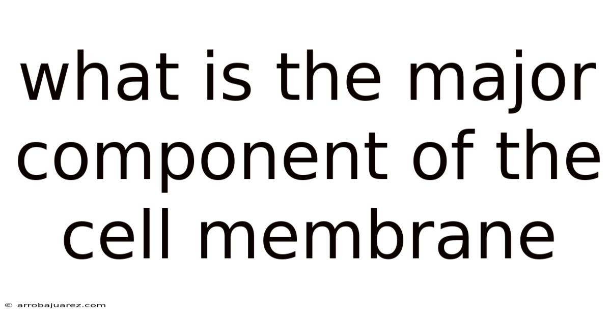 What Is The Major Component Of The Cell Membrane