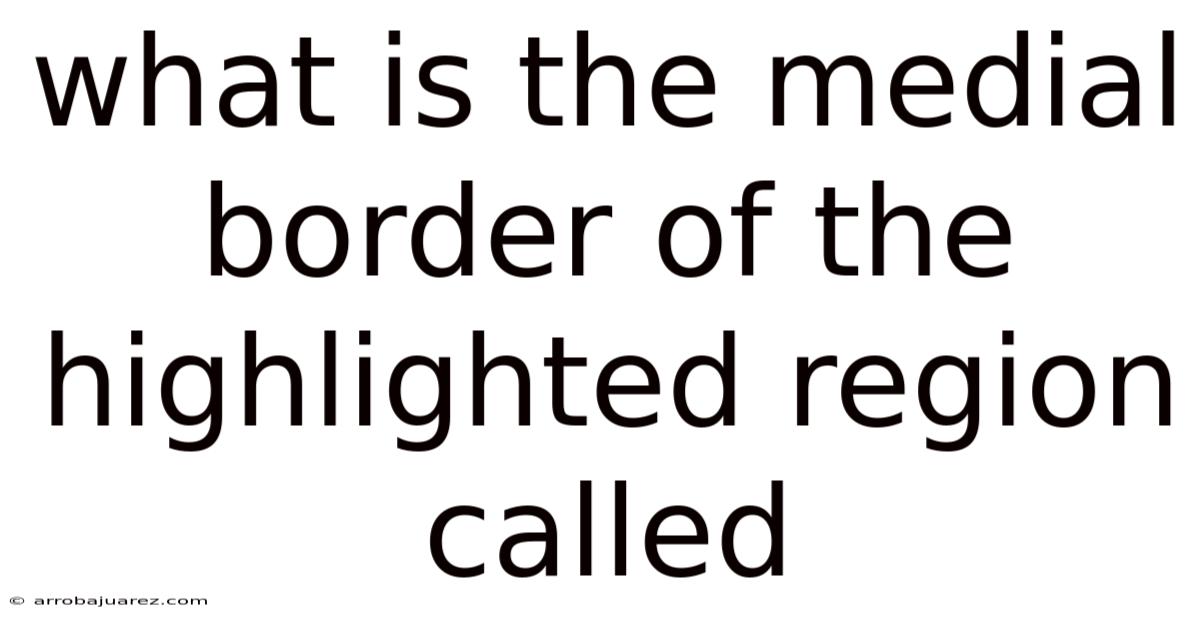 What Is The Medial Border Of The Highlighted Region Called