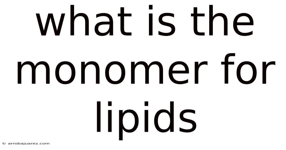 What Is The Monomer For Lipids