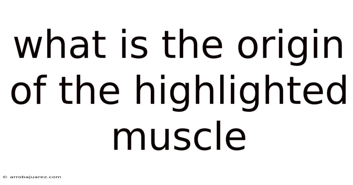 What Is The Origin Of The Highlighted Muscle