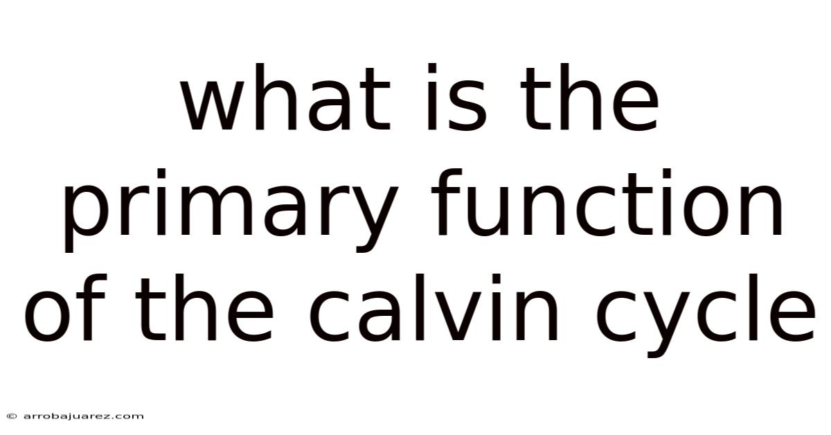 What Is The Primary Function Of The Calvin Cycle