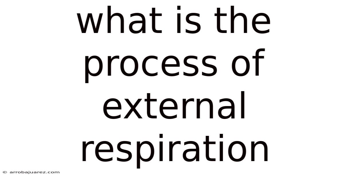 What Is The Process Of External Respiration