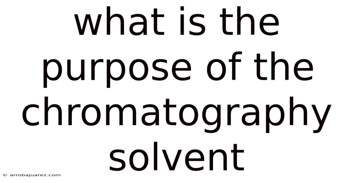What Is The Purpose Of The Chromatography Solvent