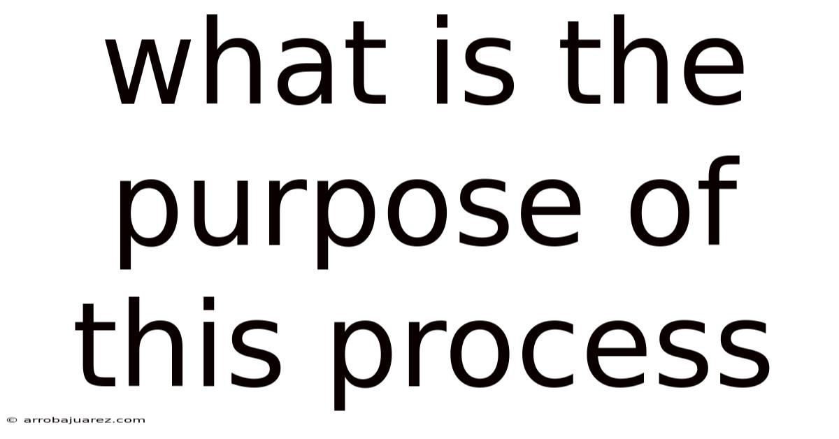 What Is The Purpose Of This Process