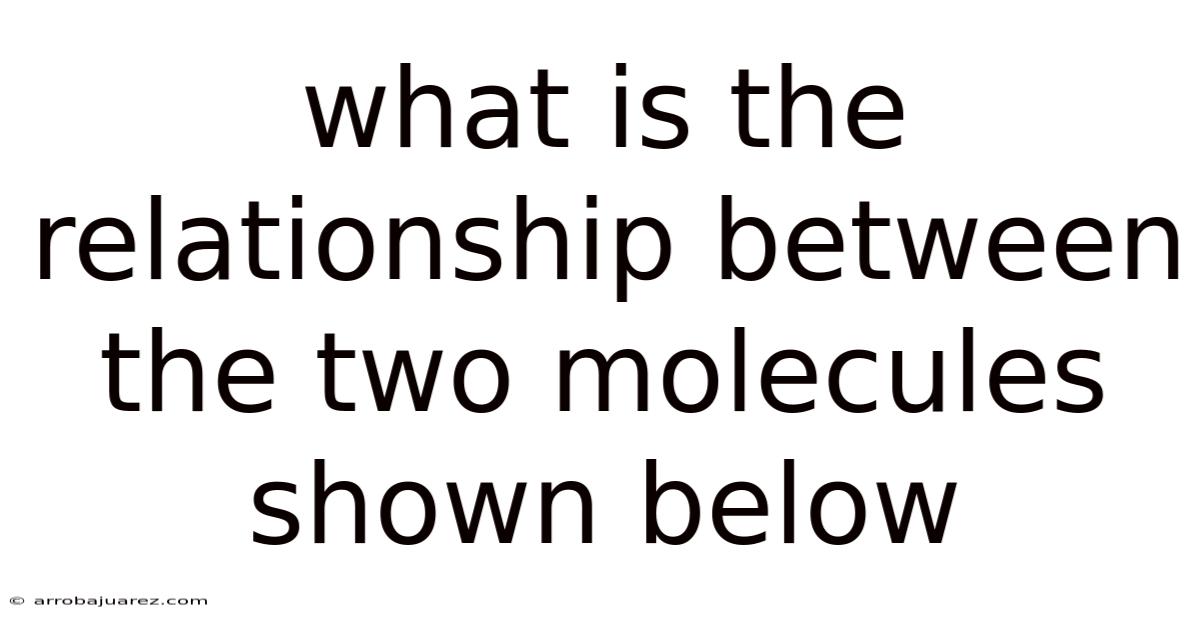 What Is The Relationship Between The Two Molecules Shown Below