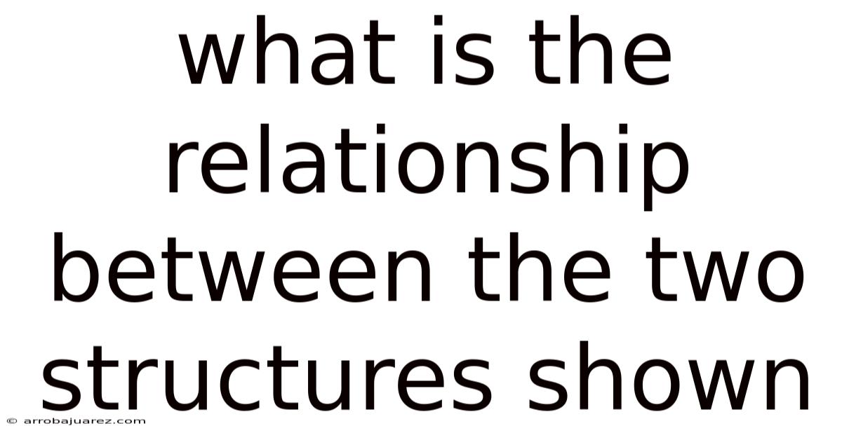 What Is The Relationship Between The Two Structures Shown