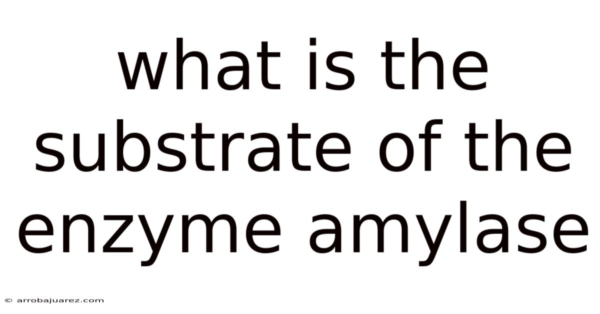What Is The Substrate Of The Enzyme Amylase