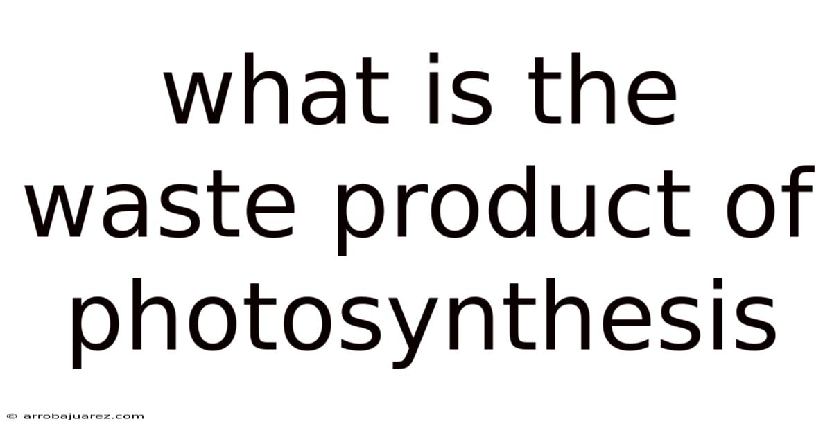 What Is The Waste Product Of Photosynthesis