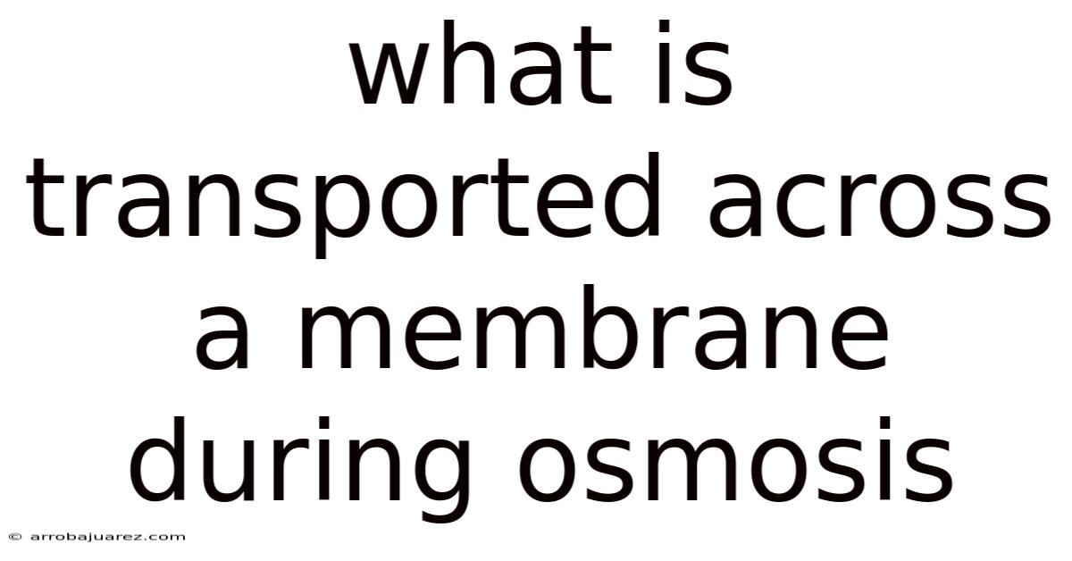 What Is Transported Across A Membrane During Osmosis