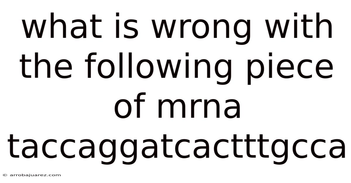 What Is Wrong With The Following Piece Of Mrna Taccaggatcactttgcca