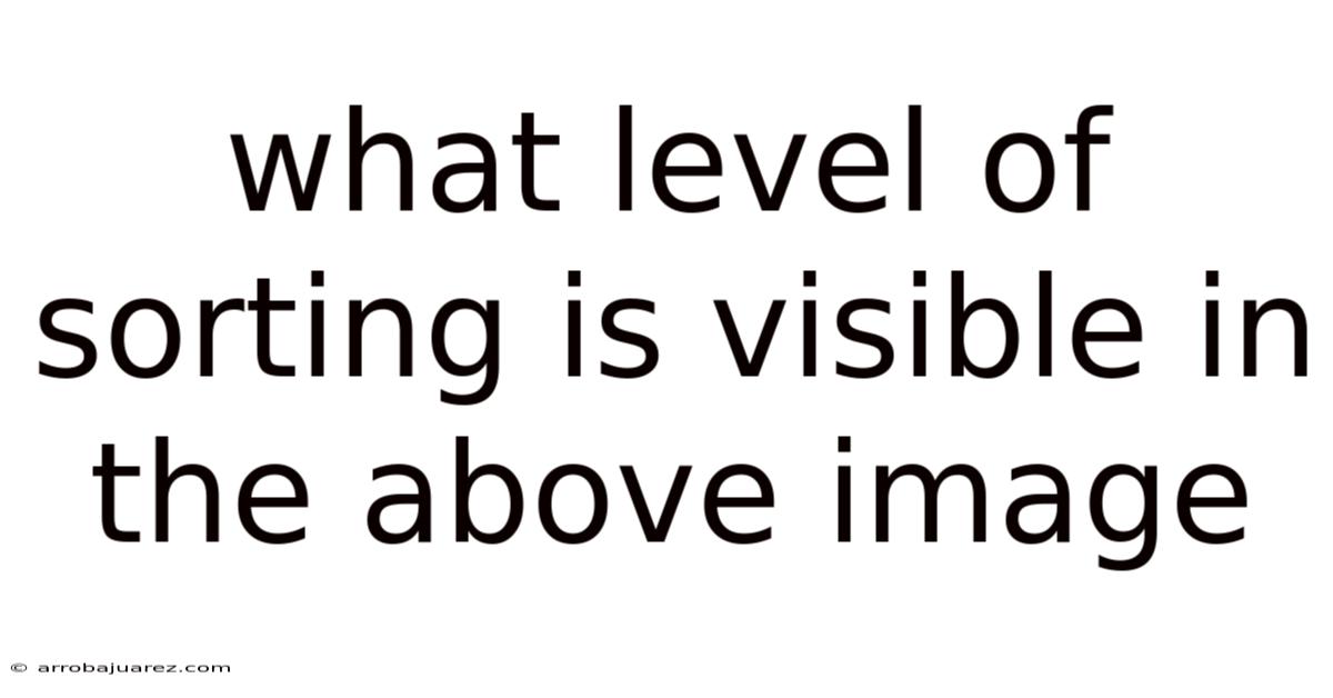 What Level Of Sorting Is Visible In The Above Image