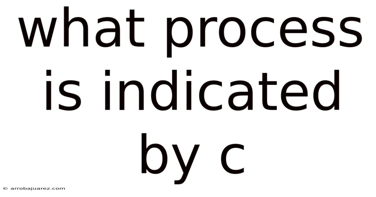 What Process Is Indicated By C