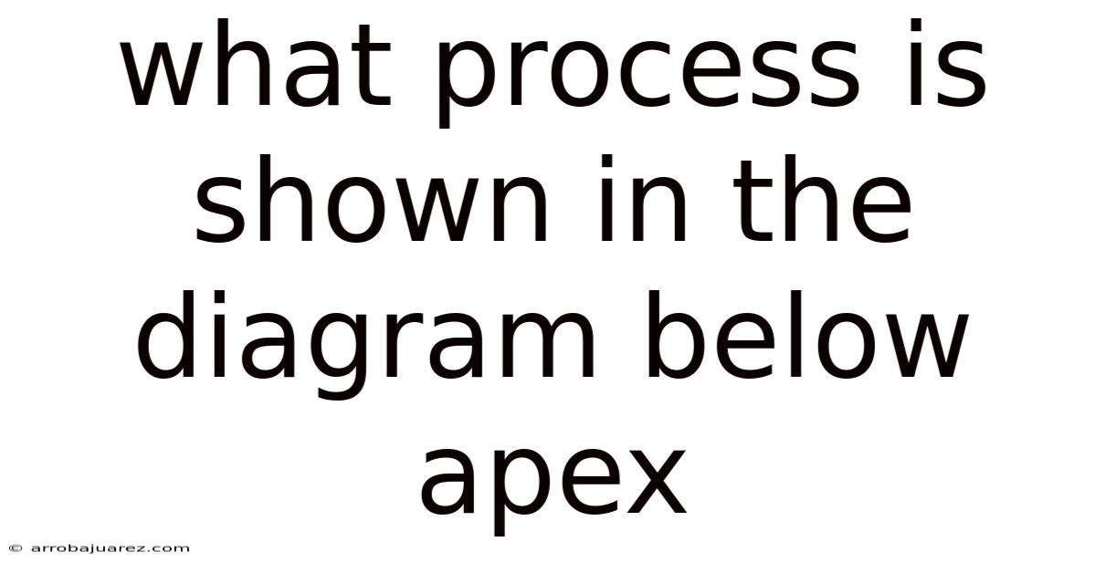 What Process Is Shown In The Diagram Below Apex