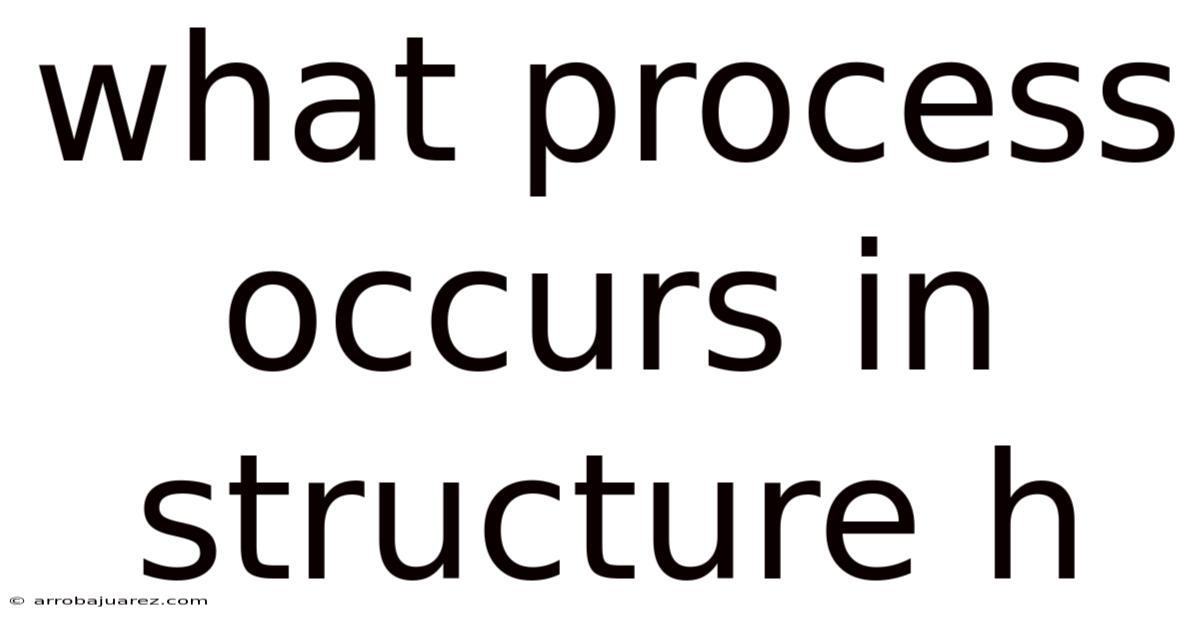 What Process Occurs In Structure H