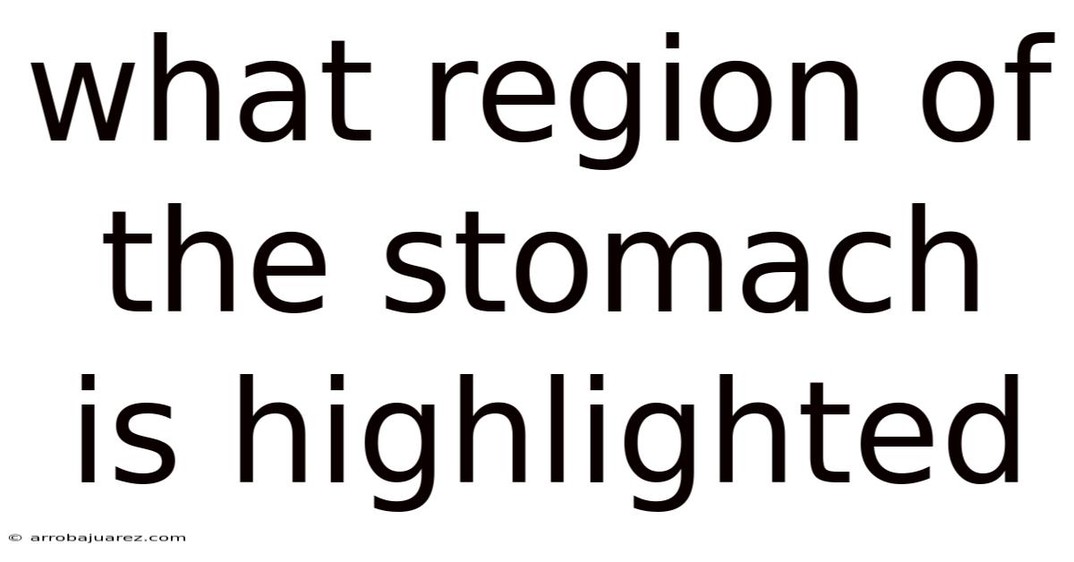 What Region Of The Stomach Is Highlighted