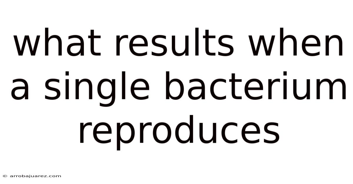 What Results When A Single Bacterium Reproduces