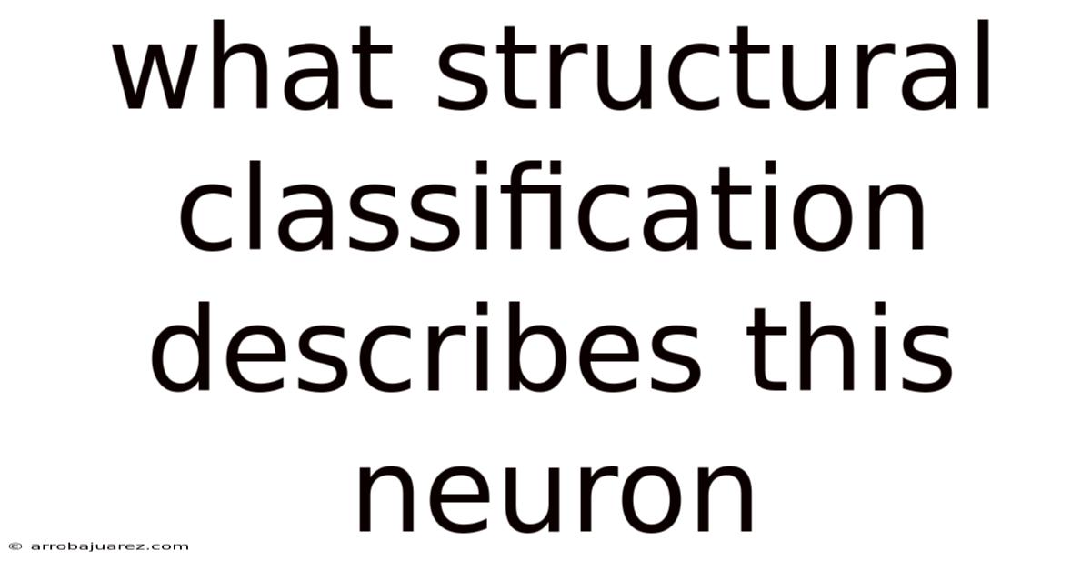 What Structural Classification Describes This Neuron