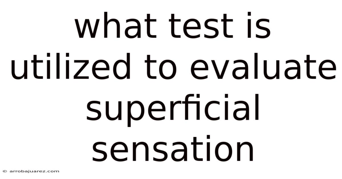 What Test Is Utilized To Evaluate Superficial Sensation