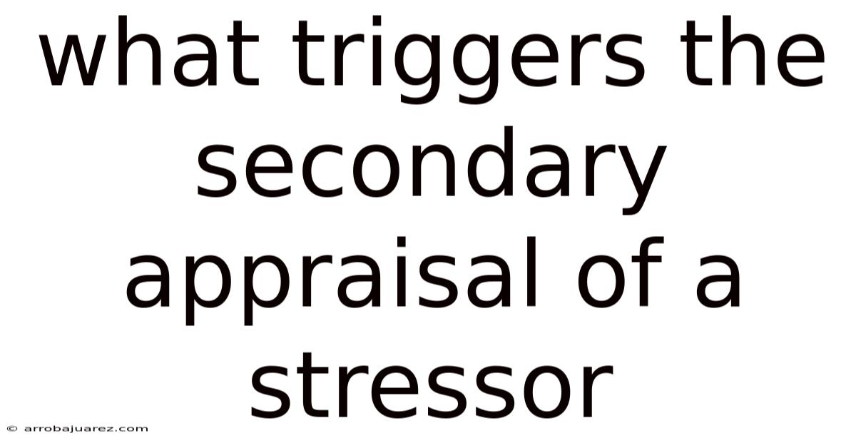 What Triggers The Secondary Appraisal Of A Stressor