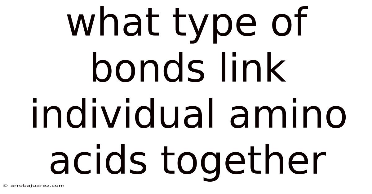 What Type Of Bonds Link Individual Amino Acids Together