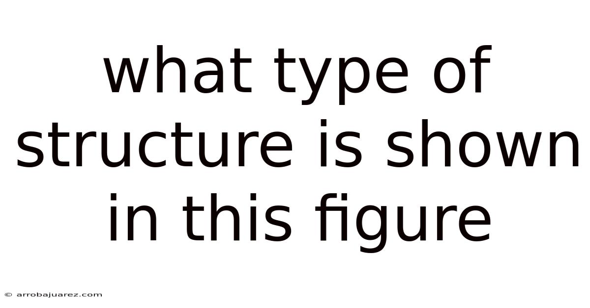 What Type Of Structure Is Shown In This Figure