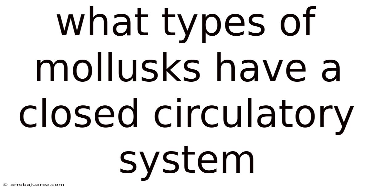 What Types Of Mollusks Have A Closed Circulatory System