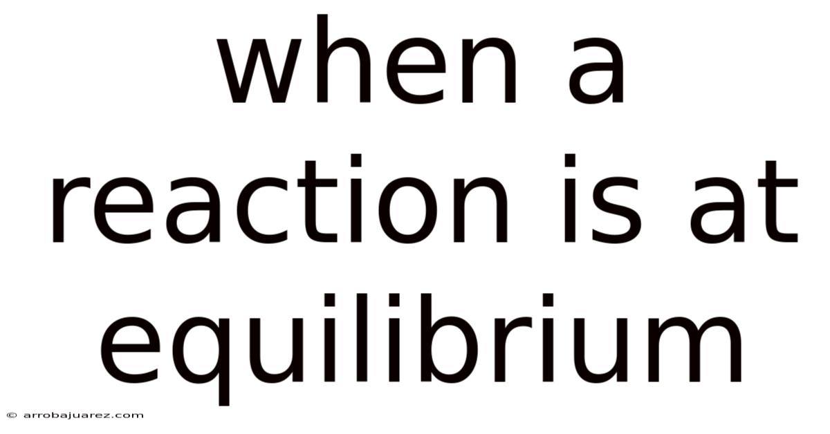 When A Reaction Is At Equilibrium