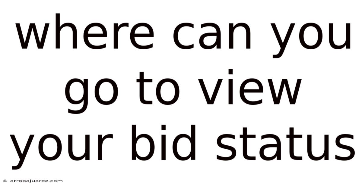Where Can You Go To View Your Bid Status