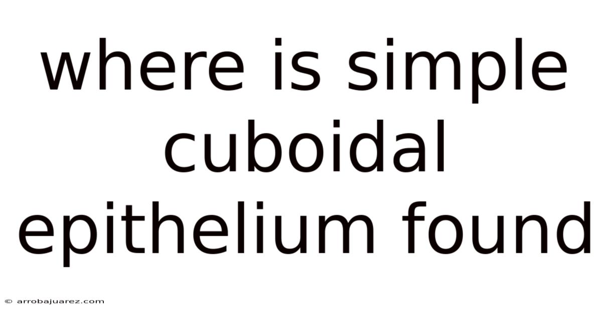 Where Is Simple Cuboidal Epithelium Found