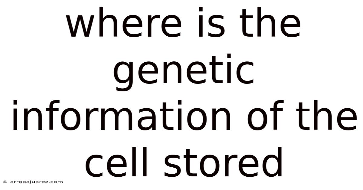 Where Is The Genetic Information Of The Cell Stored