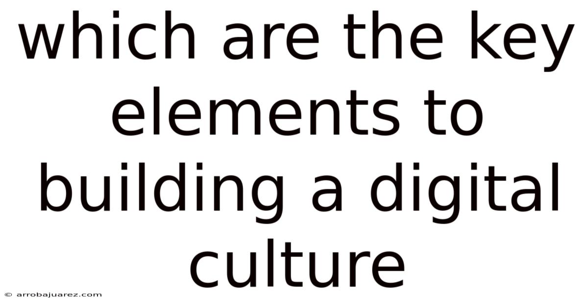 Which Are The Key Elements To Building A Digital Culture
