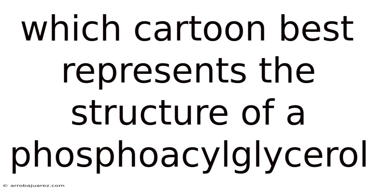 Which Cartoon Best Represents The Structure Of A Phosphoacylglycerol