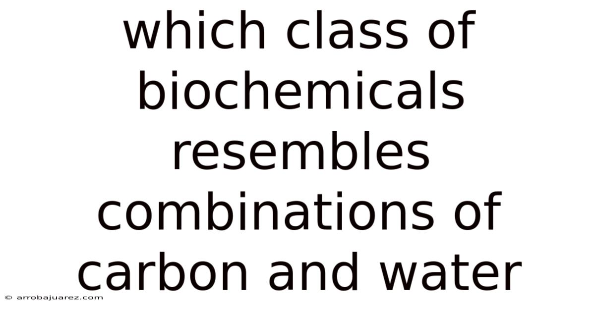 Which Class Of Biochemicals Resembles Combinations Of Carbon And Water