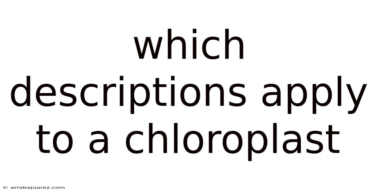 Which Descriptions Apply To A Chloroplast