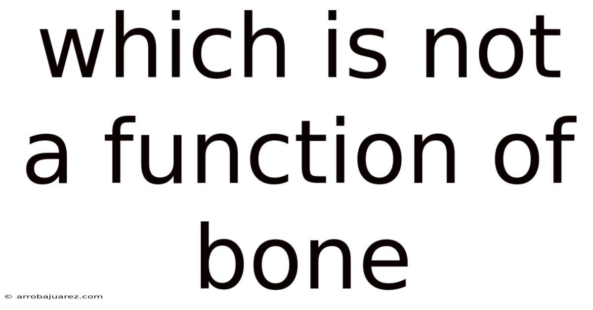 Which Is Not A Function Of Bone