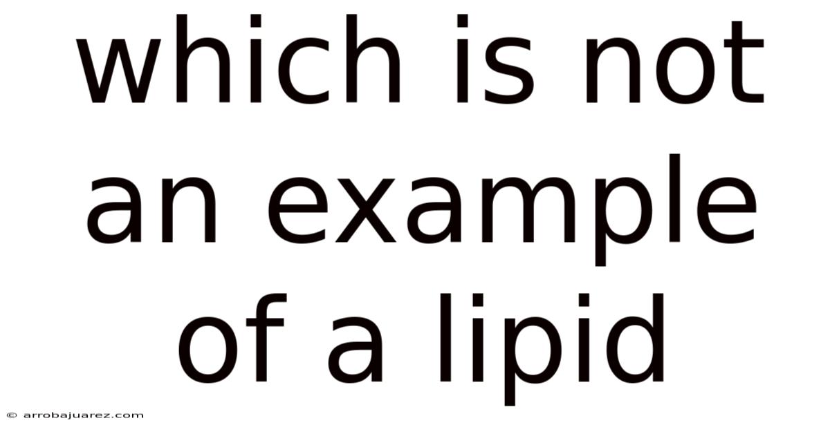 Which Is Not An Example Of A Lipid