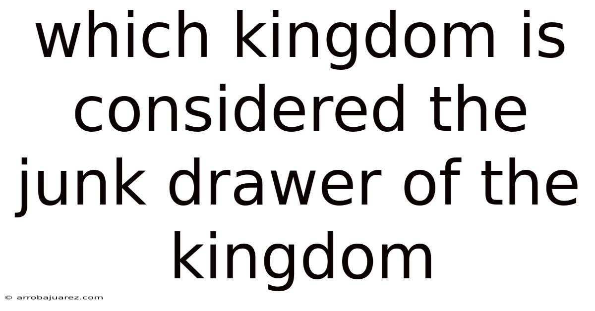 Which Kingdom Is Considered The Junk Drawer Of The Kingdom