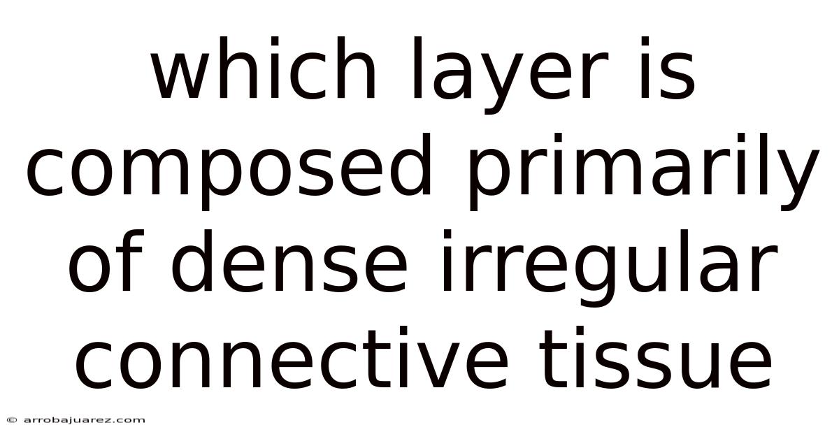 Which Layer Is Composed Primarily Of Dense Irregular Connective Tissue