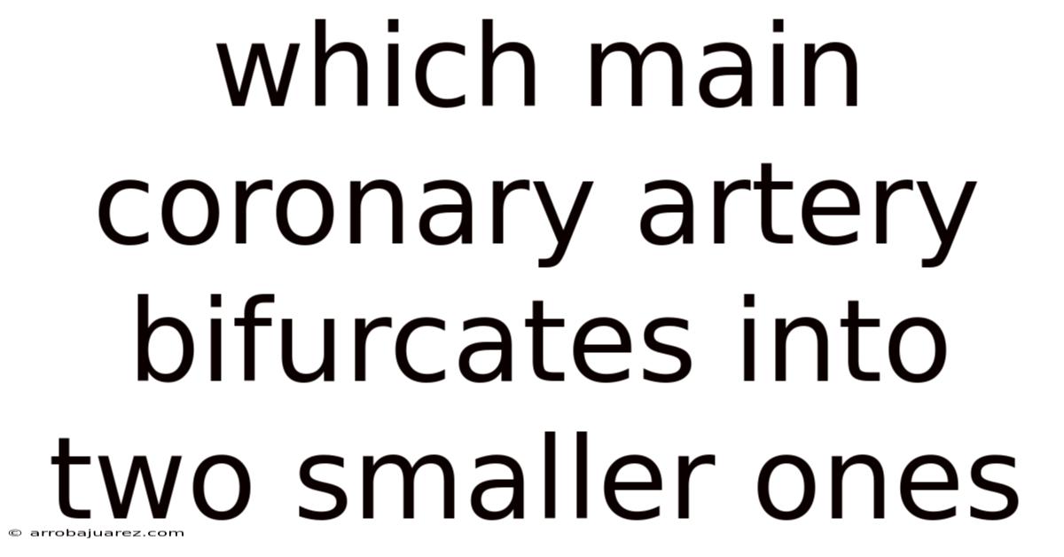 Which Main Coronary Artery Bifurcates Into Two Smaller Ones